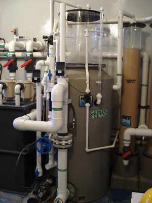 150PE-FS<br>installed by Aquatic Exhibits International